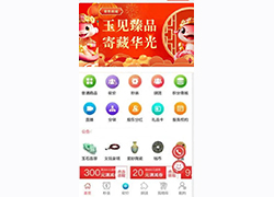 網(wǎng)拍電商平臺(tái)交易平臺(tái)系統(tǒng)制作開(kāi)發(fā)